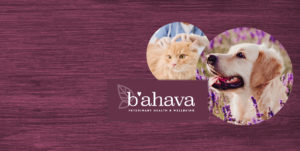 b'ahava brand hero image with a dog and cat