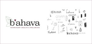b'ahava branding logo and sketches