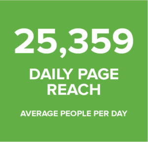 daily page reach statistic graphic - Square 205